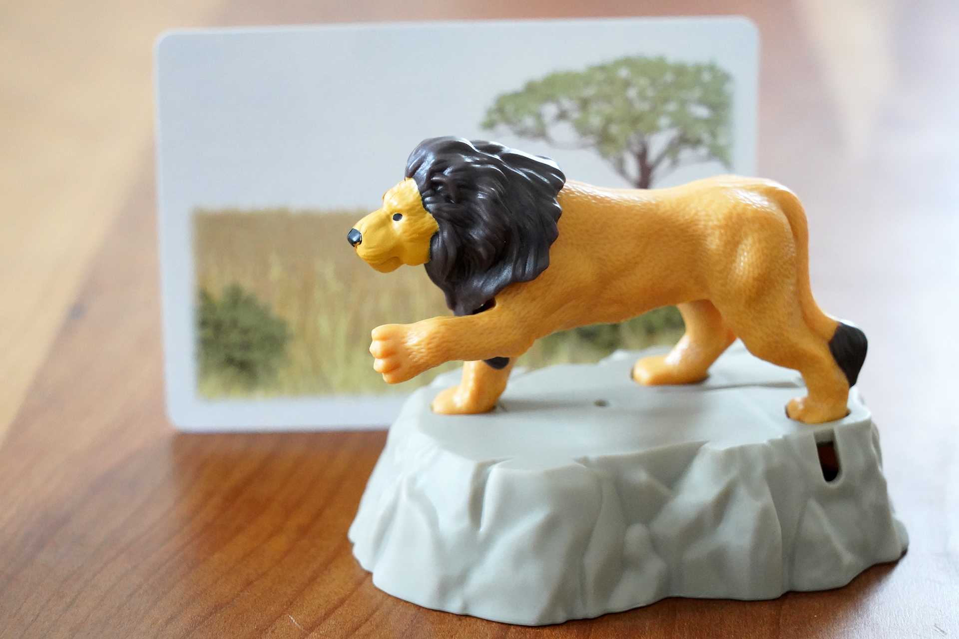 アフリカのサバンナっぽい背景