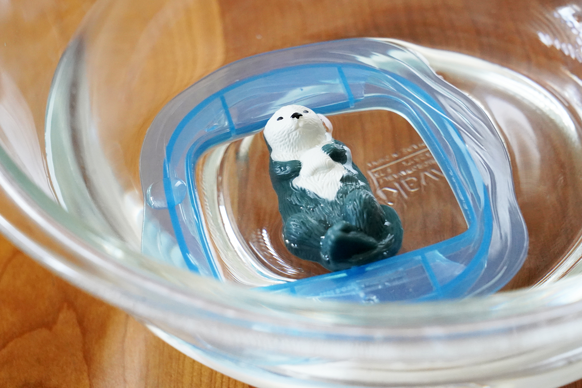 水に浮かべることができる