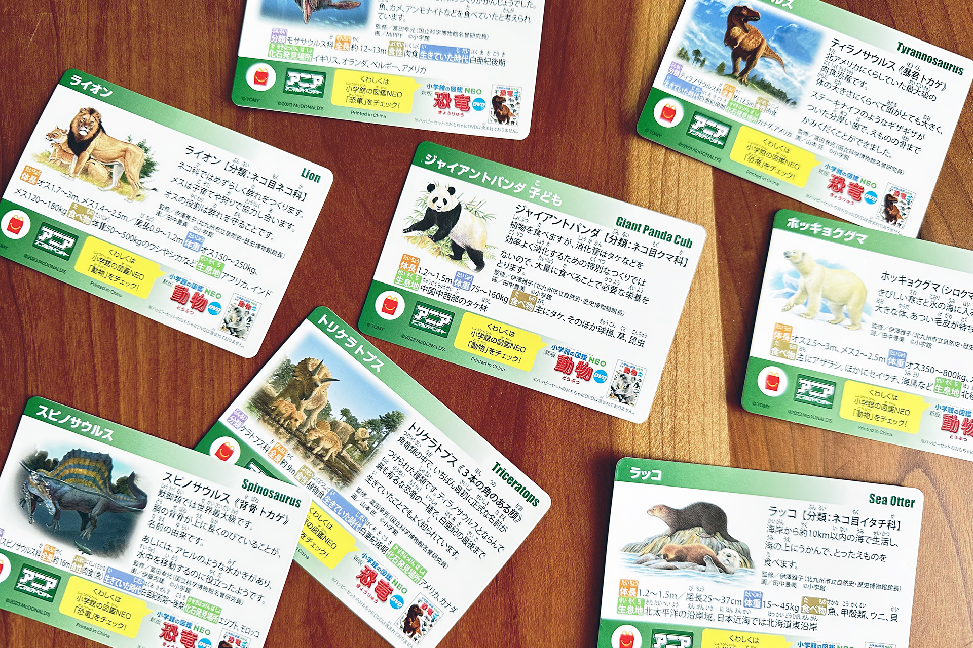生き物の名前や姿、生息地が書かれている付属カードがそれぞれ1枚ついてくる