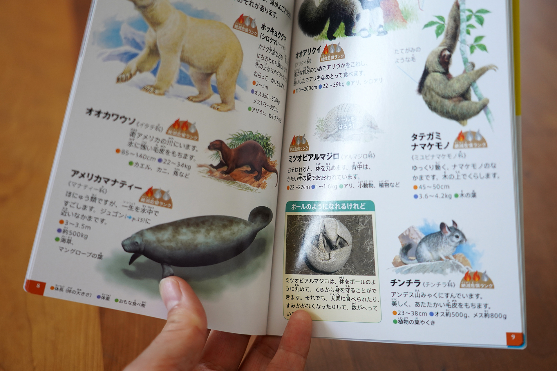 ミニ図鑑「動物/絶滅危惧種 クイズつき」は、世界の絶滅危惧種を紹介した動物図鑑。付録のシールを貼って図鑑を完成させることができる