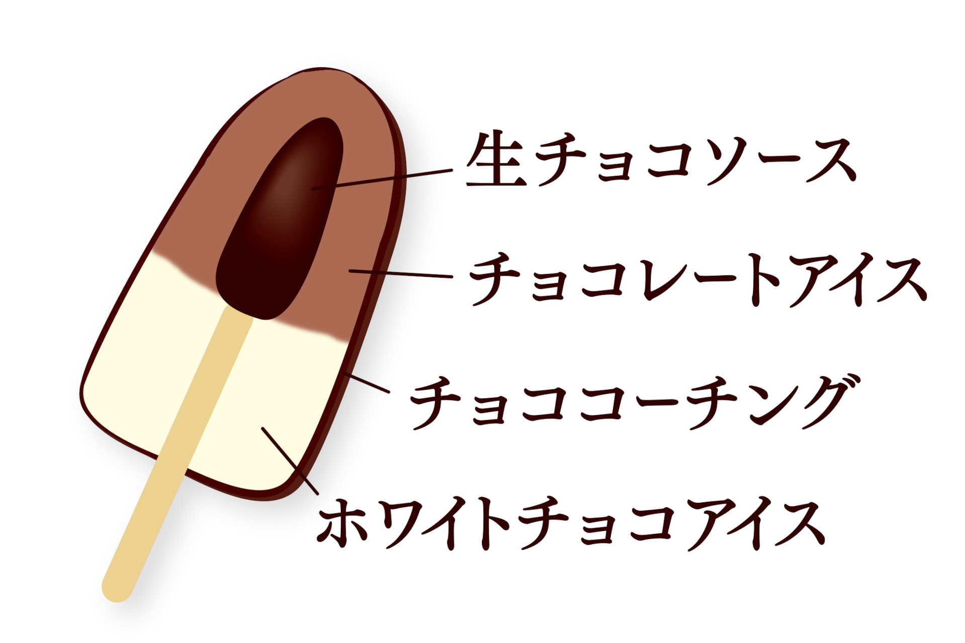 フォンディの構造