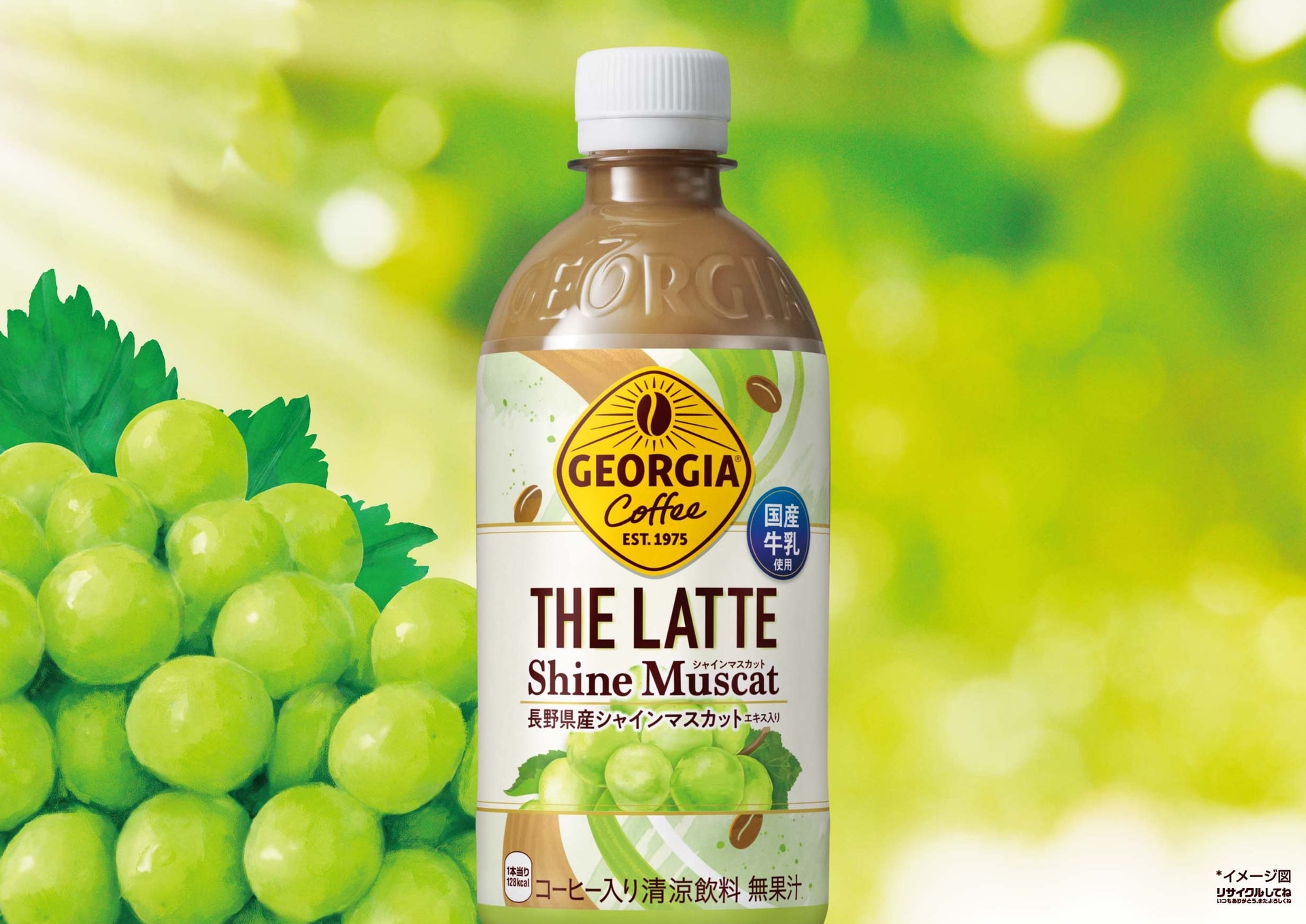 ジョージア THE ラテ シャインマスカット