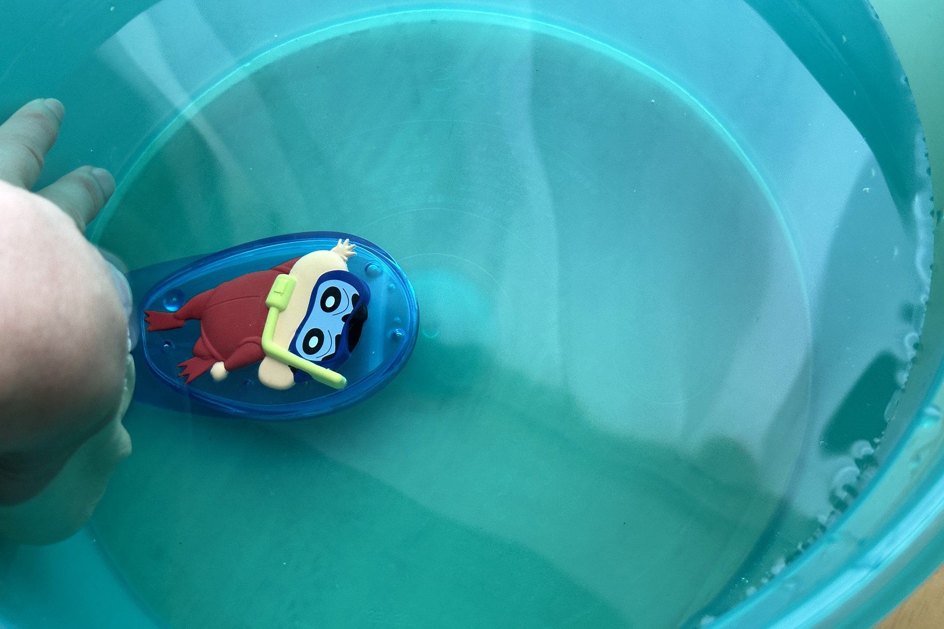 沈めていた手を離すと前に進みながら浮き上がる