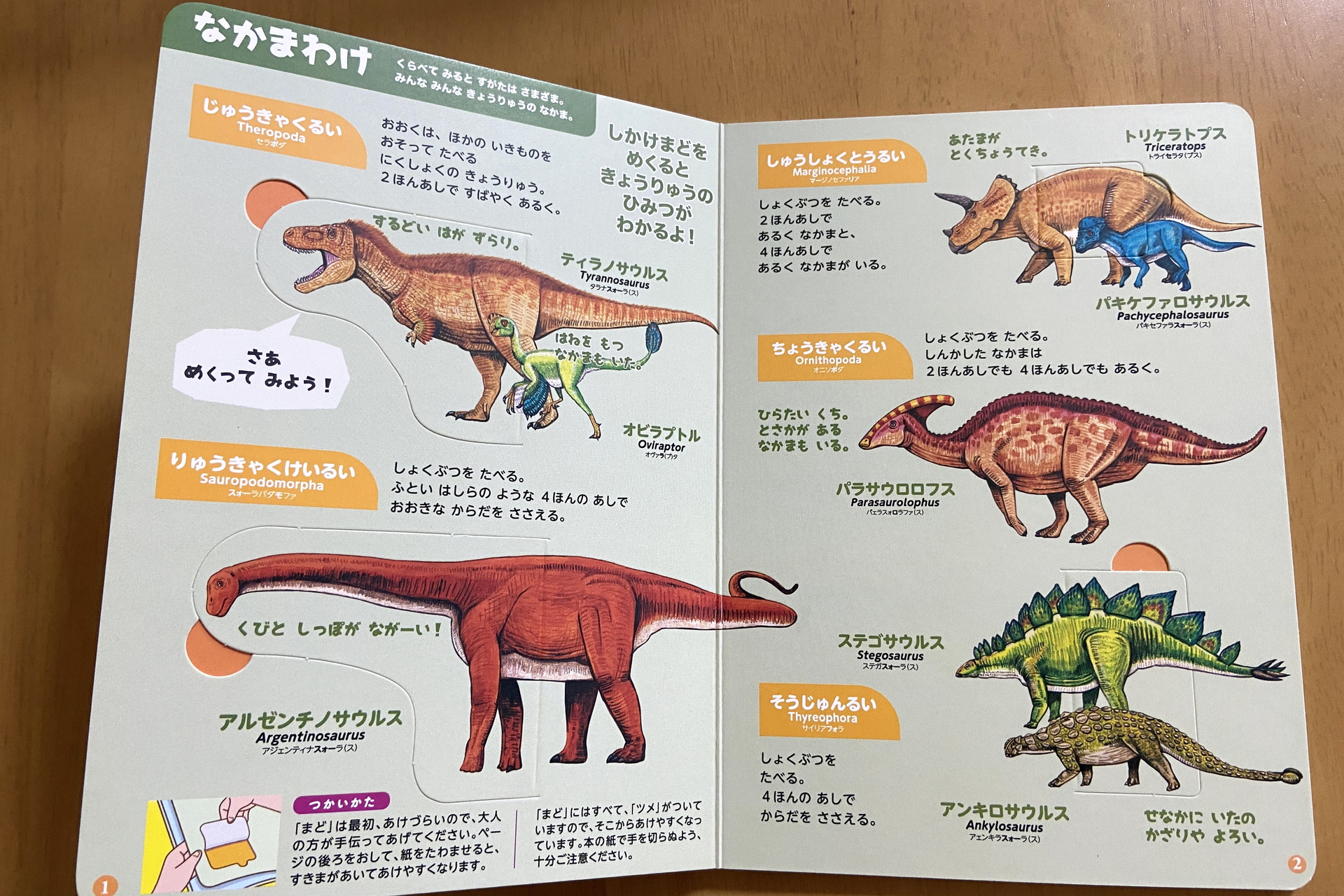 人気の恐竜たちの特徴や生態を紹介