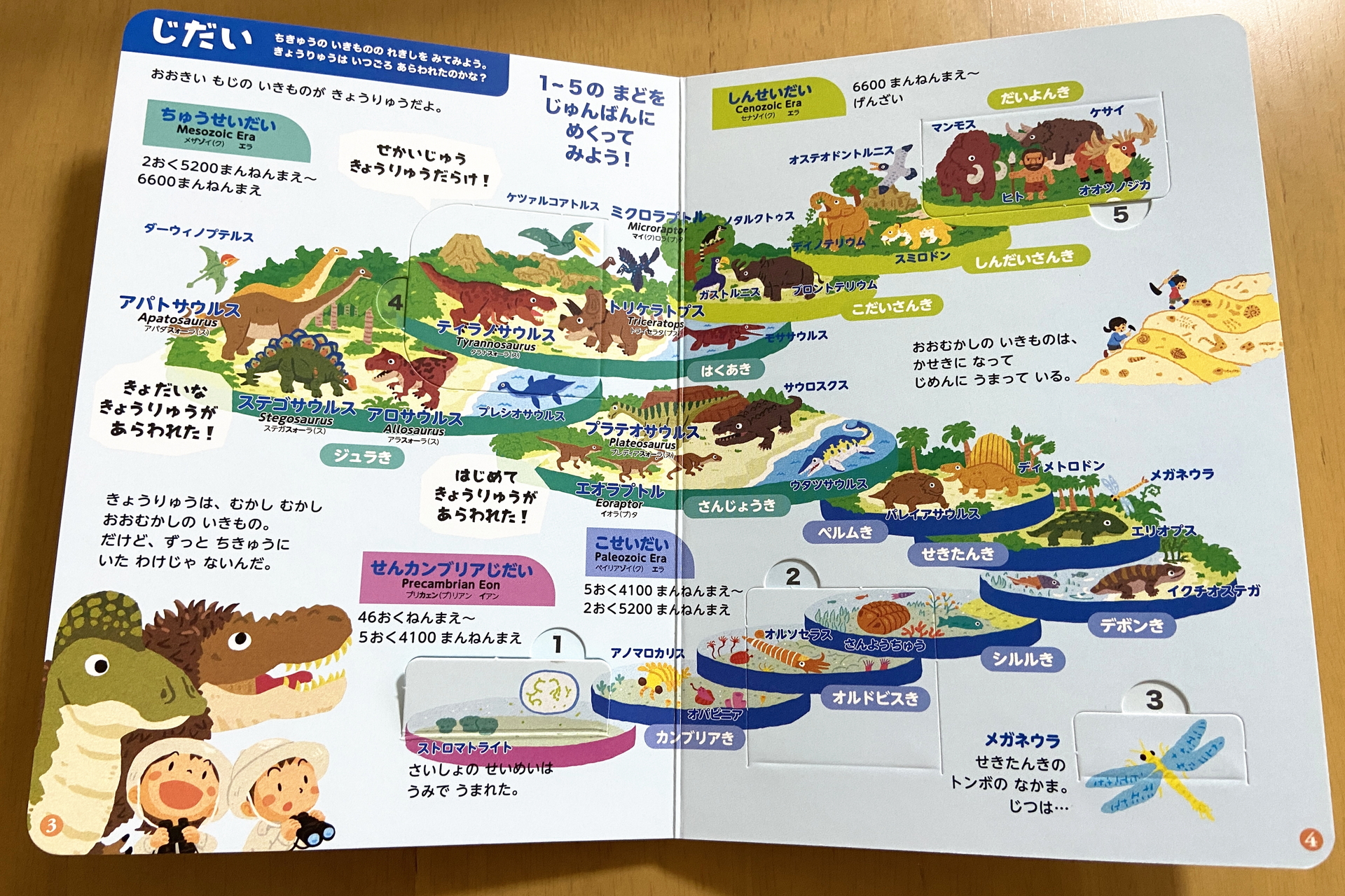 進化の過程もずらり