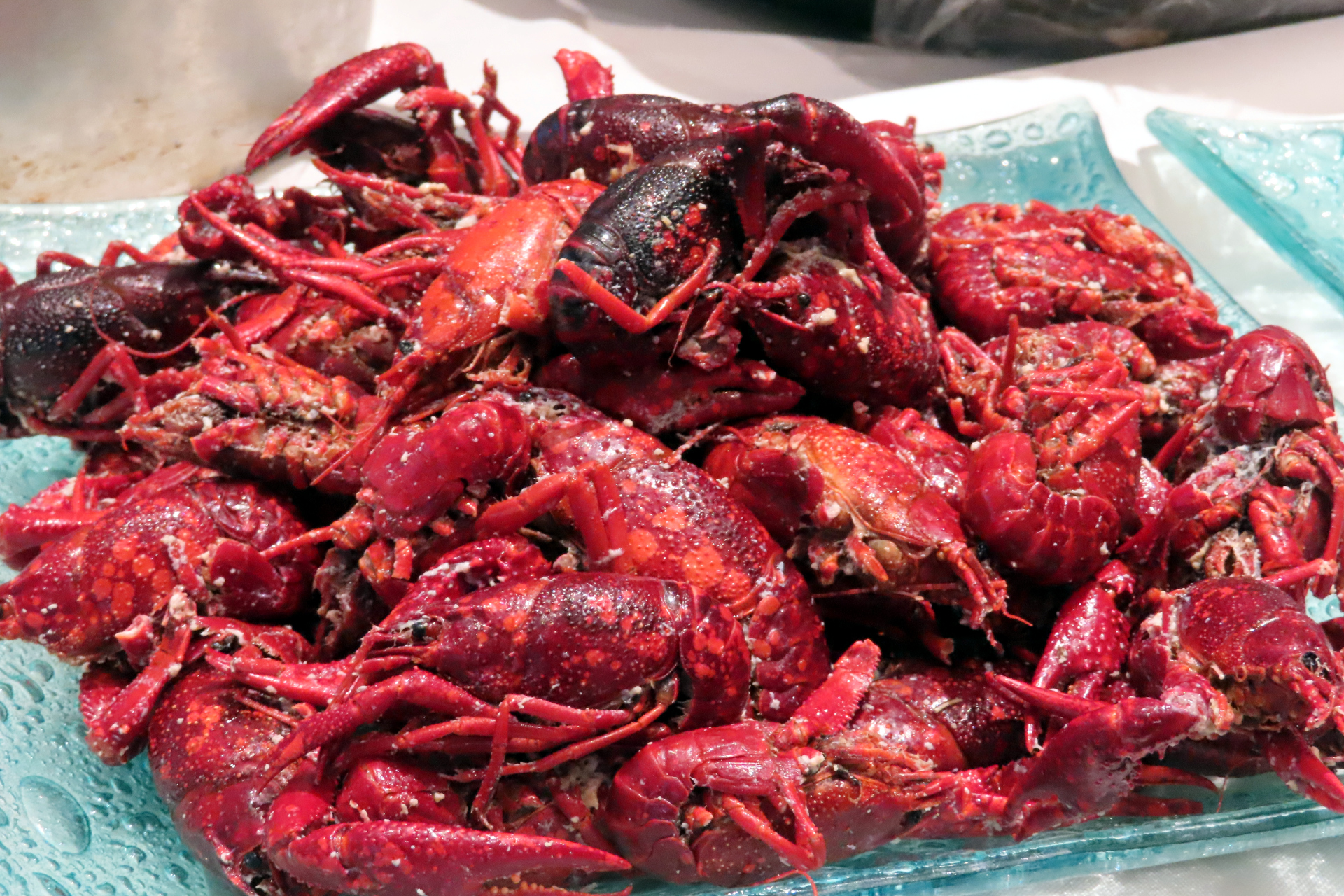 塩茹でしたザリガニ