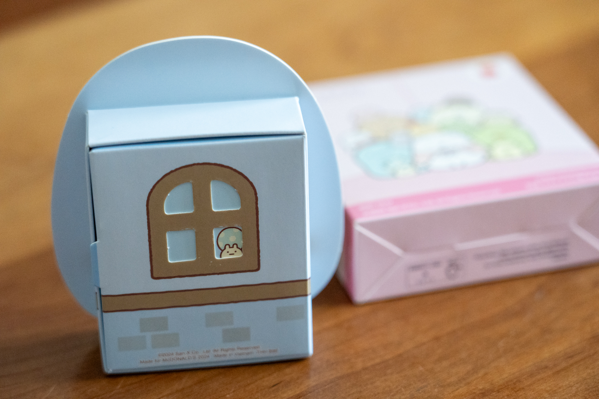 にせつむりが窓からのぞいている