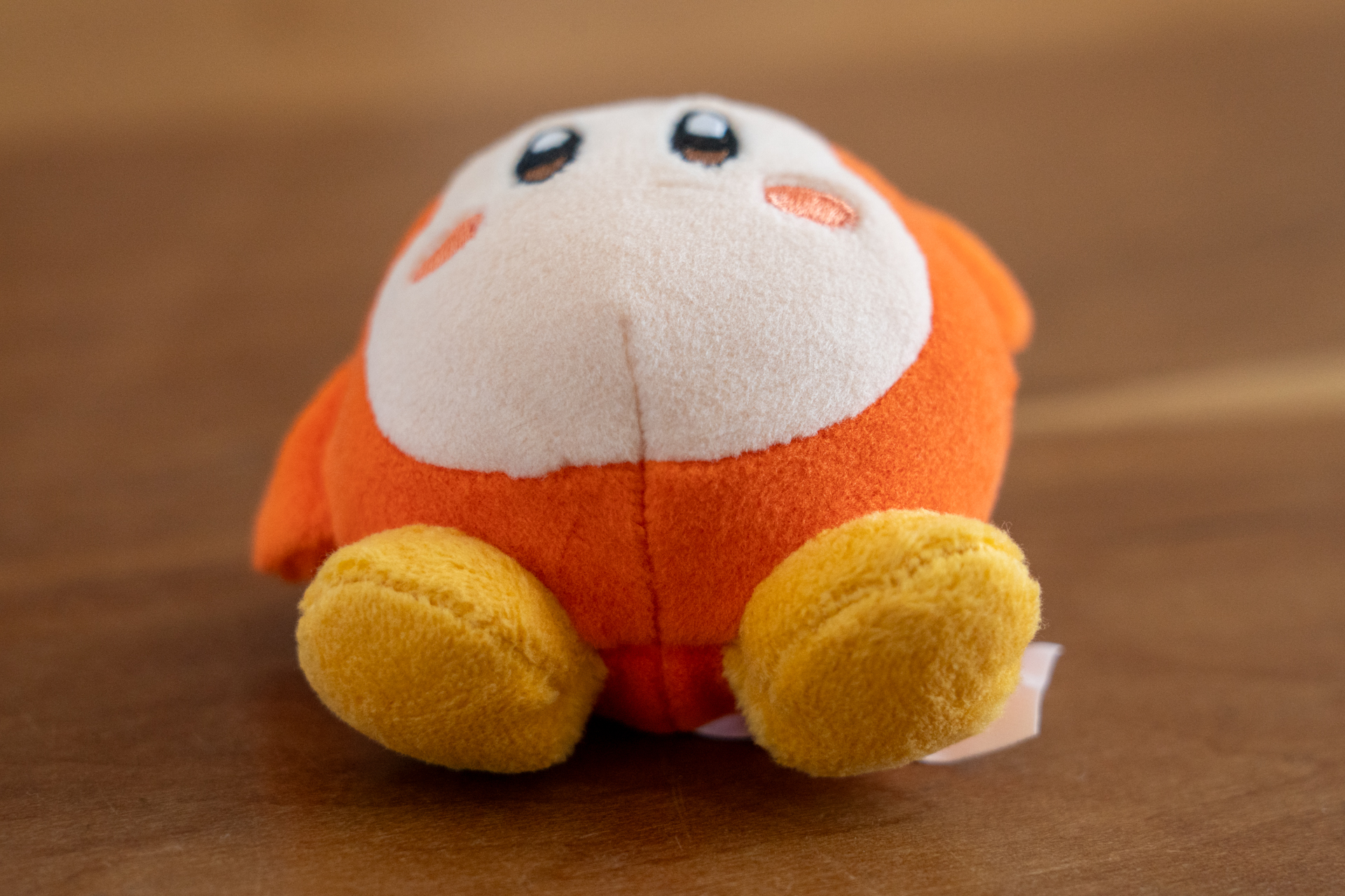 頑張れば自立する