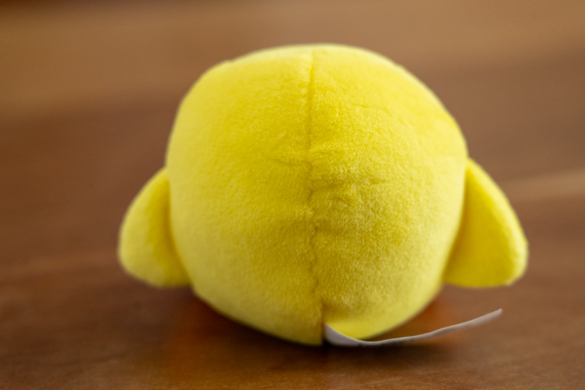 キービィの後ろ姿