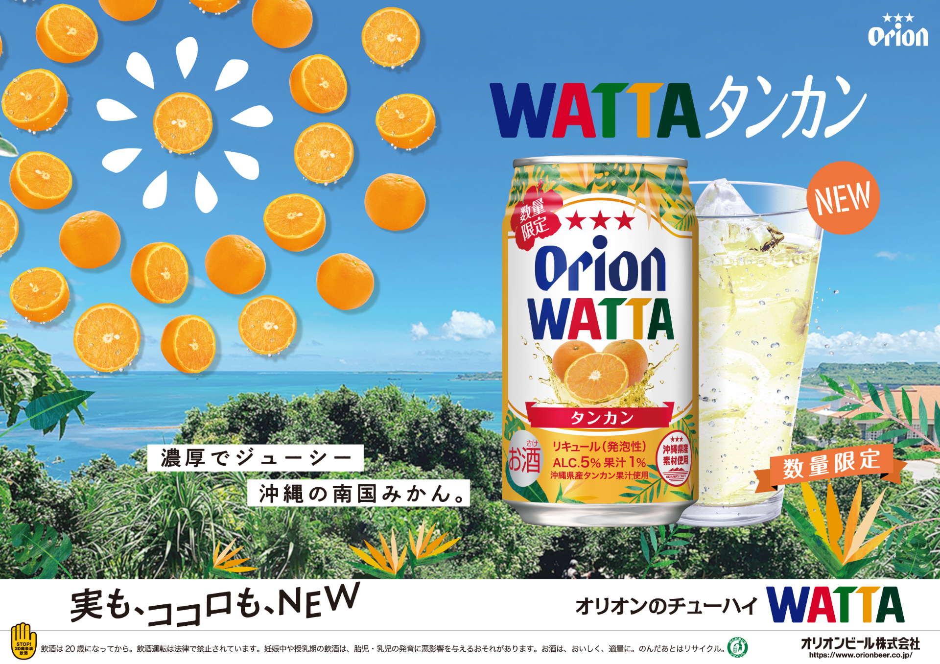 沖縄の南国みかんの濃厚でジューシーな味わいを「WATTA」で商品化