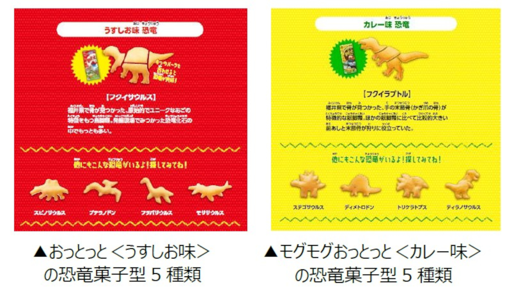 「福井県立恐竜博物館」とコラボ