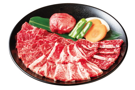 ワイルドビッグ500