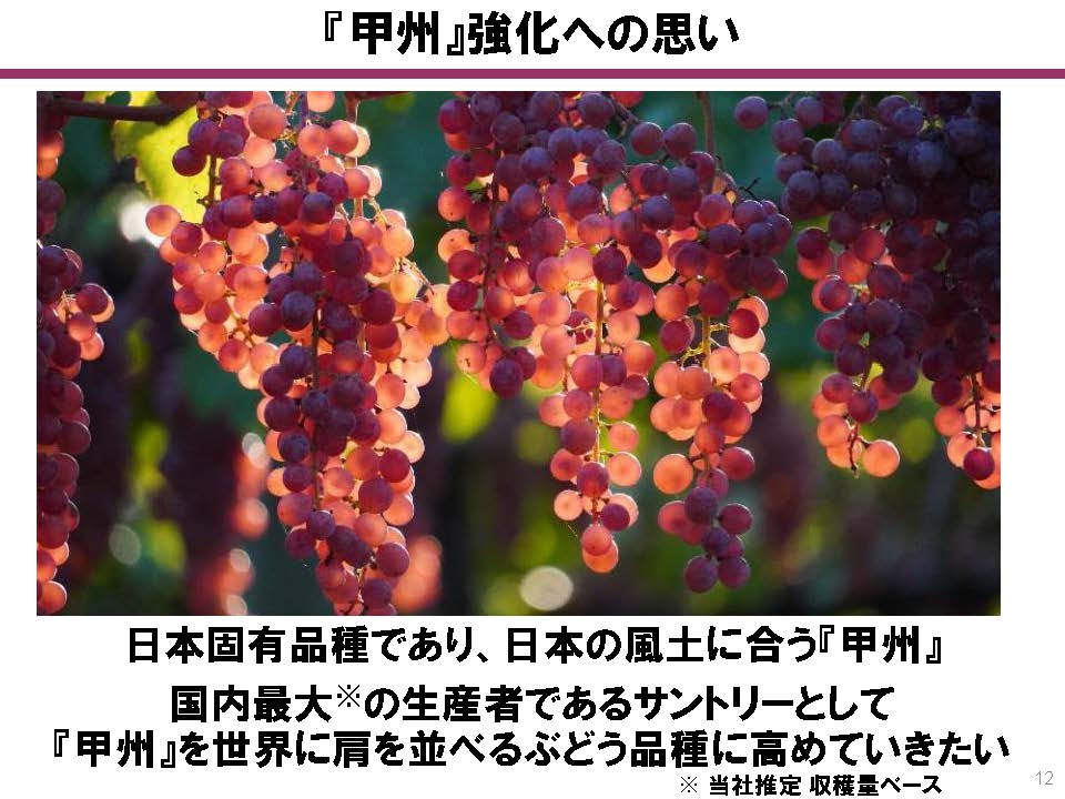 日本固有のぶどう品種「甲州」を強化