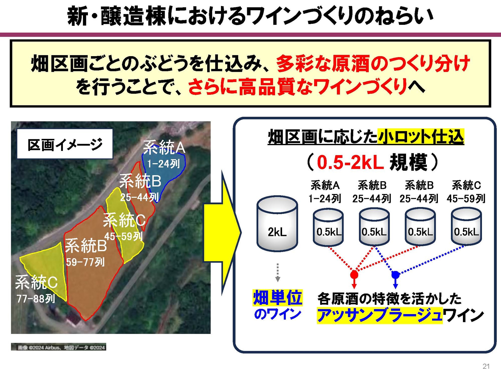 小ロット仕込でワイン作りを進めていく