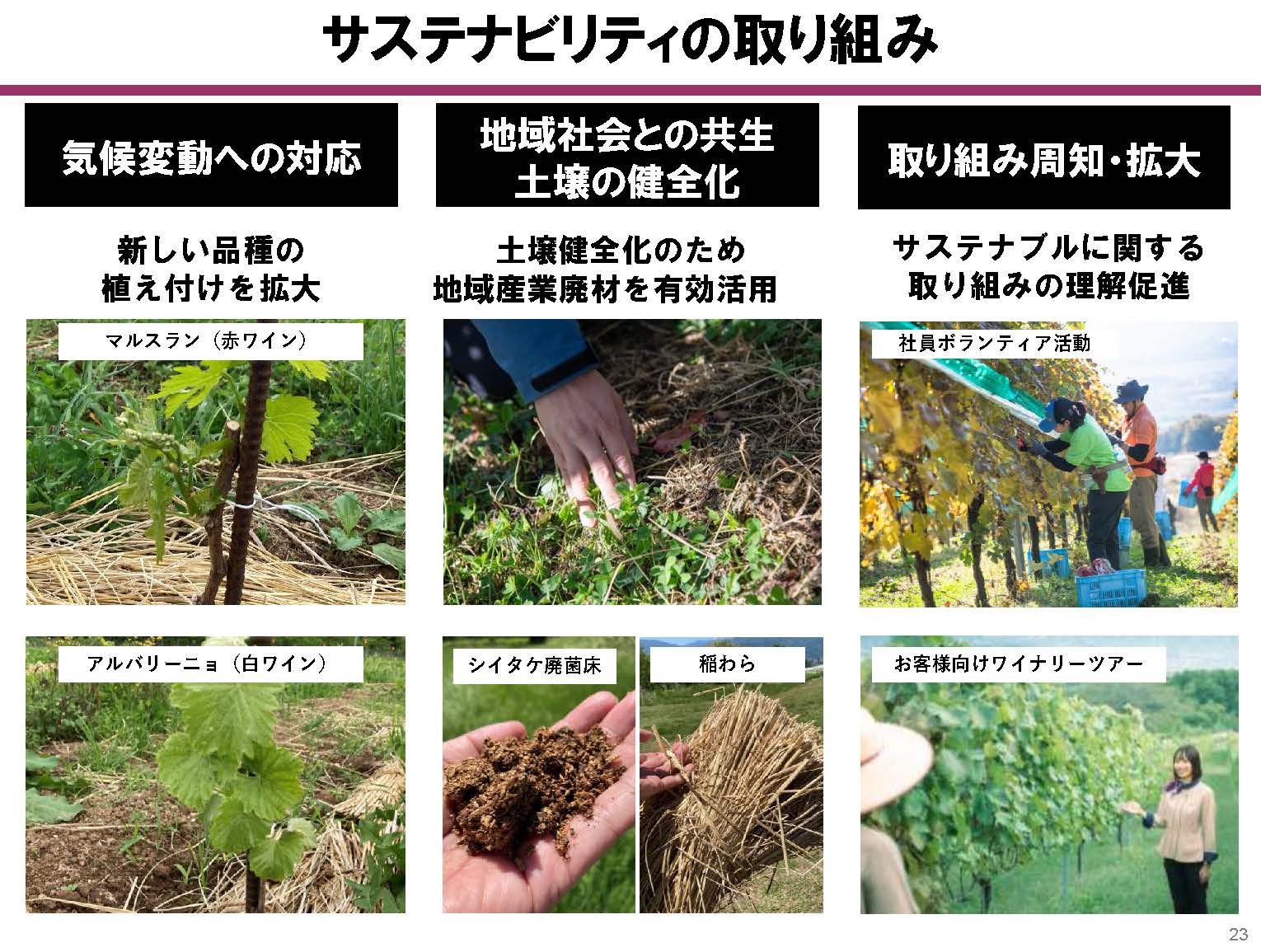 気候変動に合わせて植え付ける品種を変えるなどの対応を進める