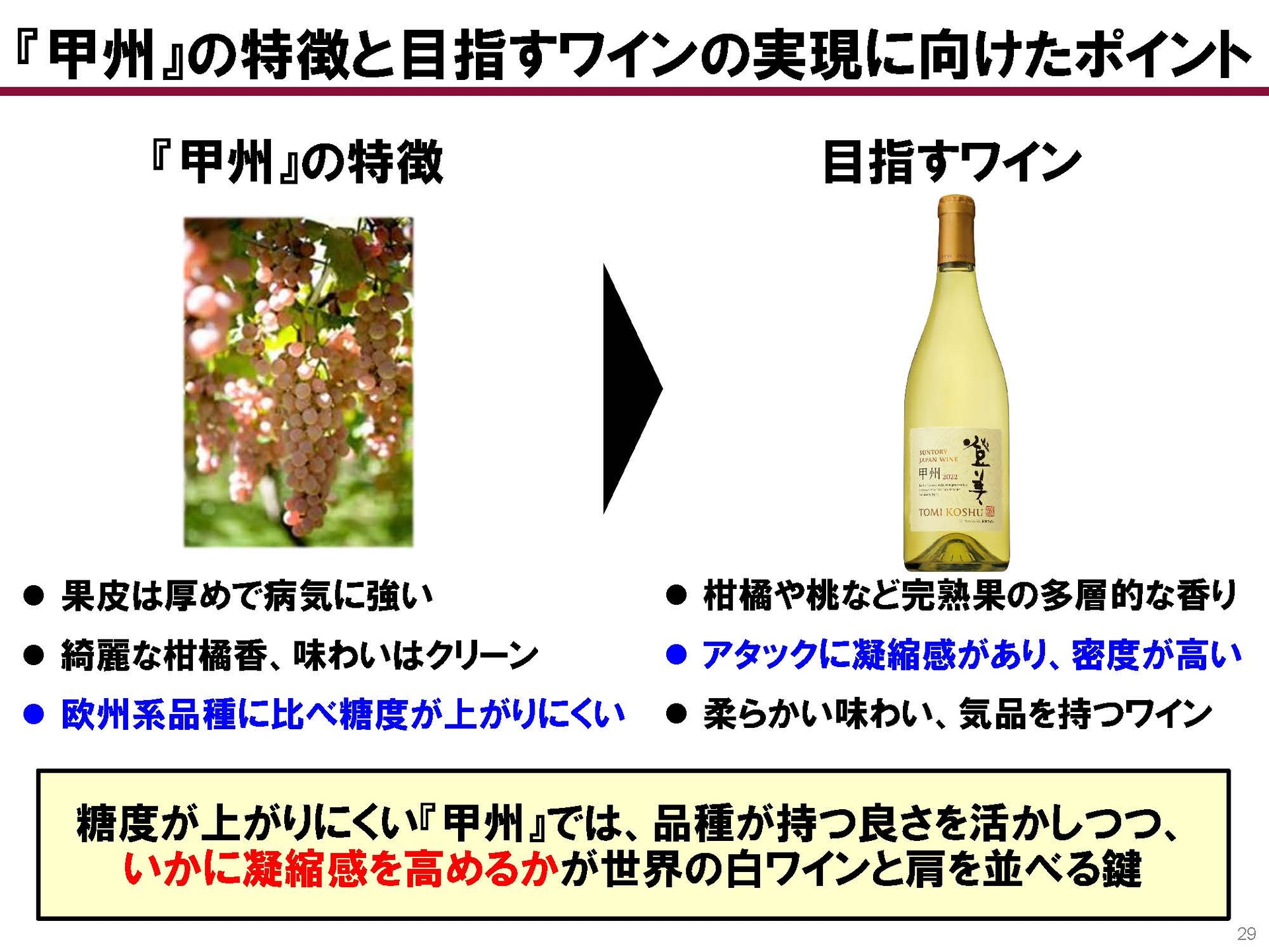 糖度が低い甲州の凝縮感をいかに高めるかがポイント