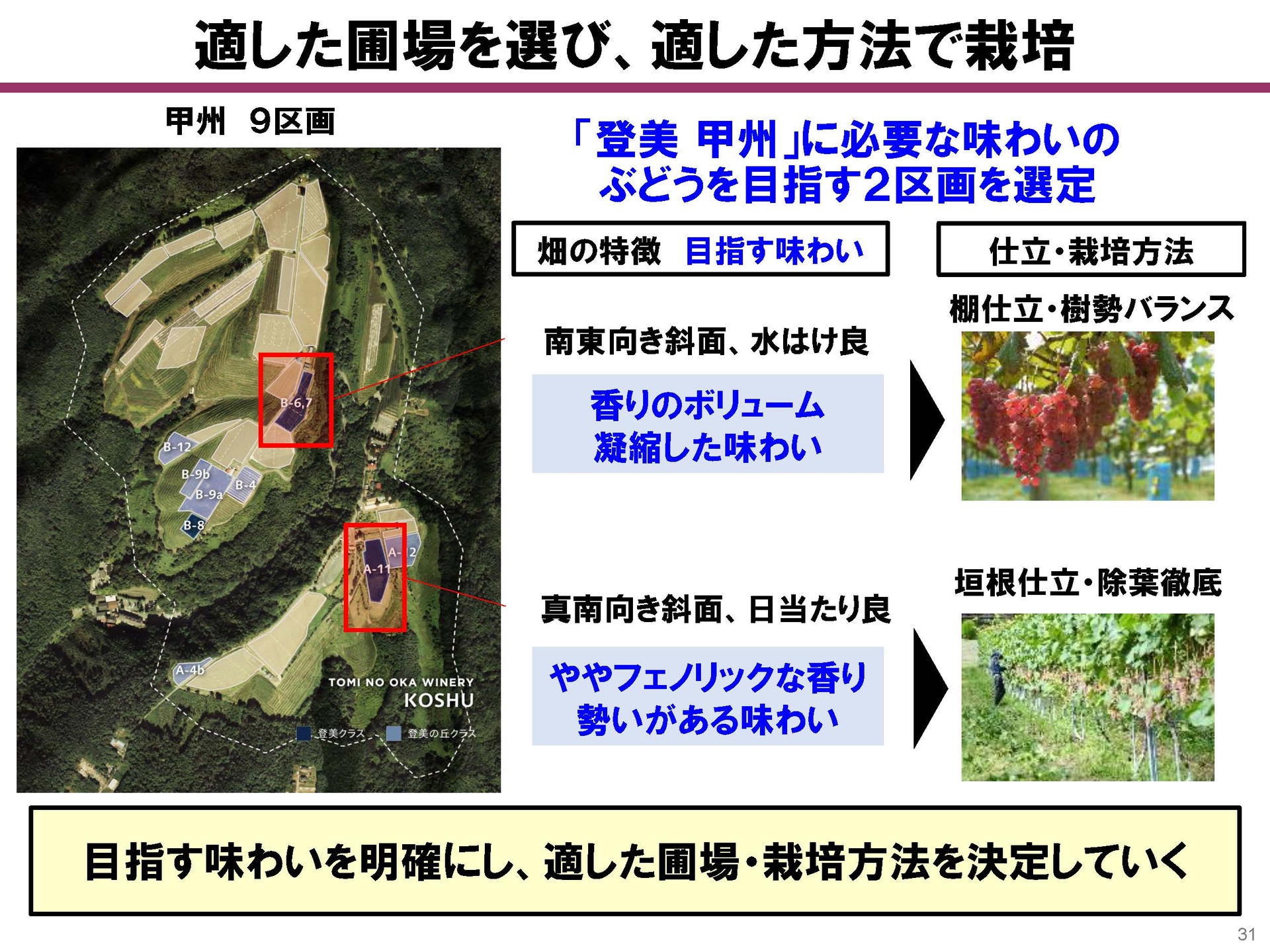 圃場選びの段階から味のビジョンを明確にし栽培を行なっている