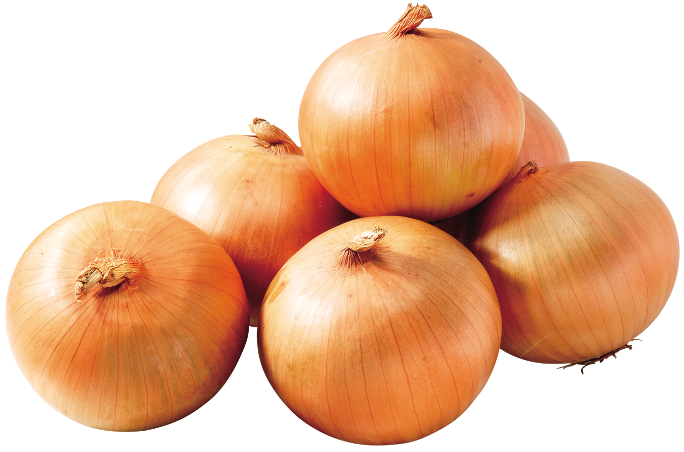 「たまねぎ大袋（1袋）」（321円）