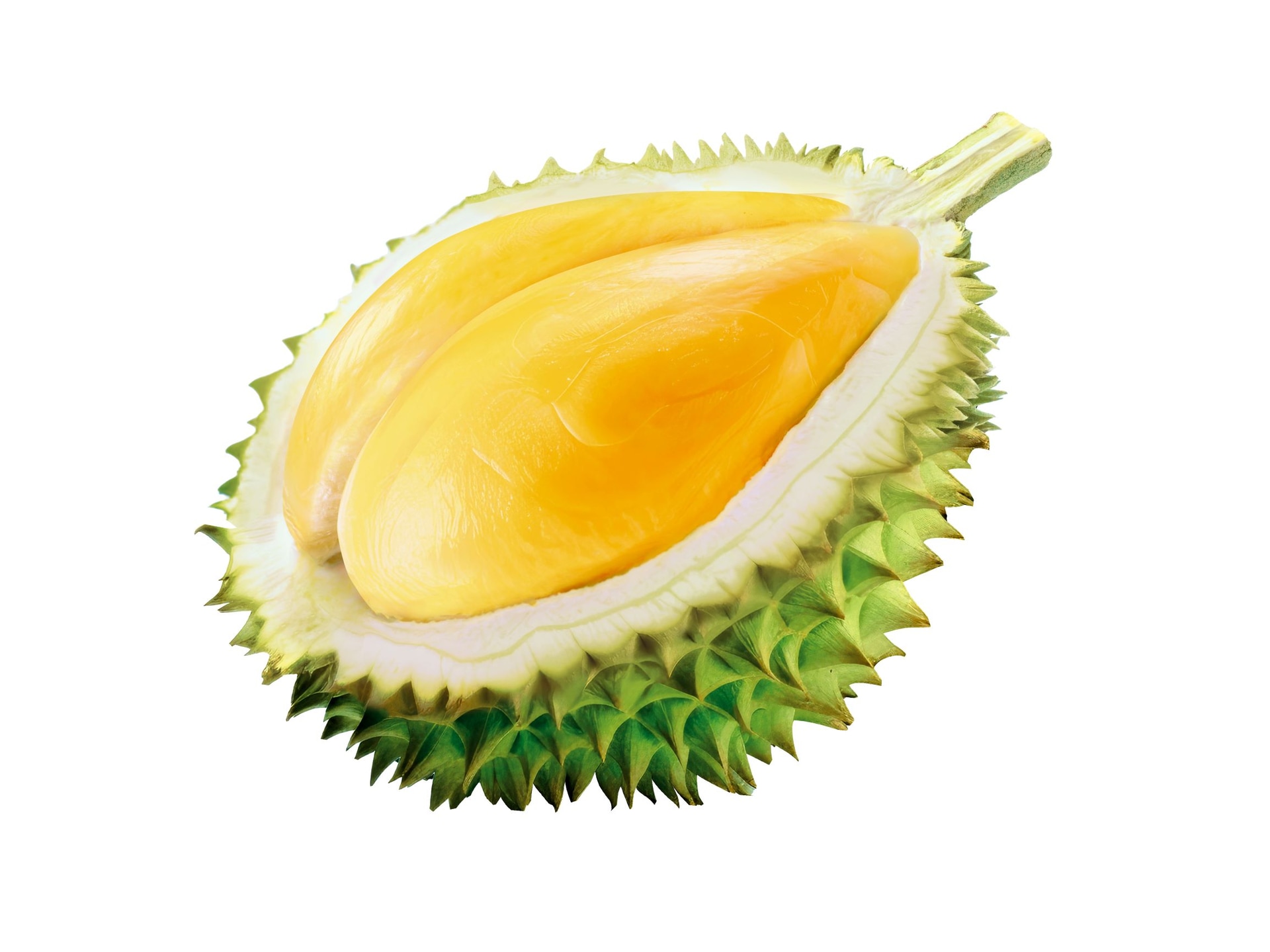 猫山王（Musang King）のイメージ