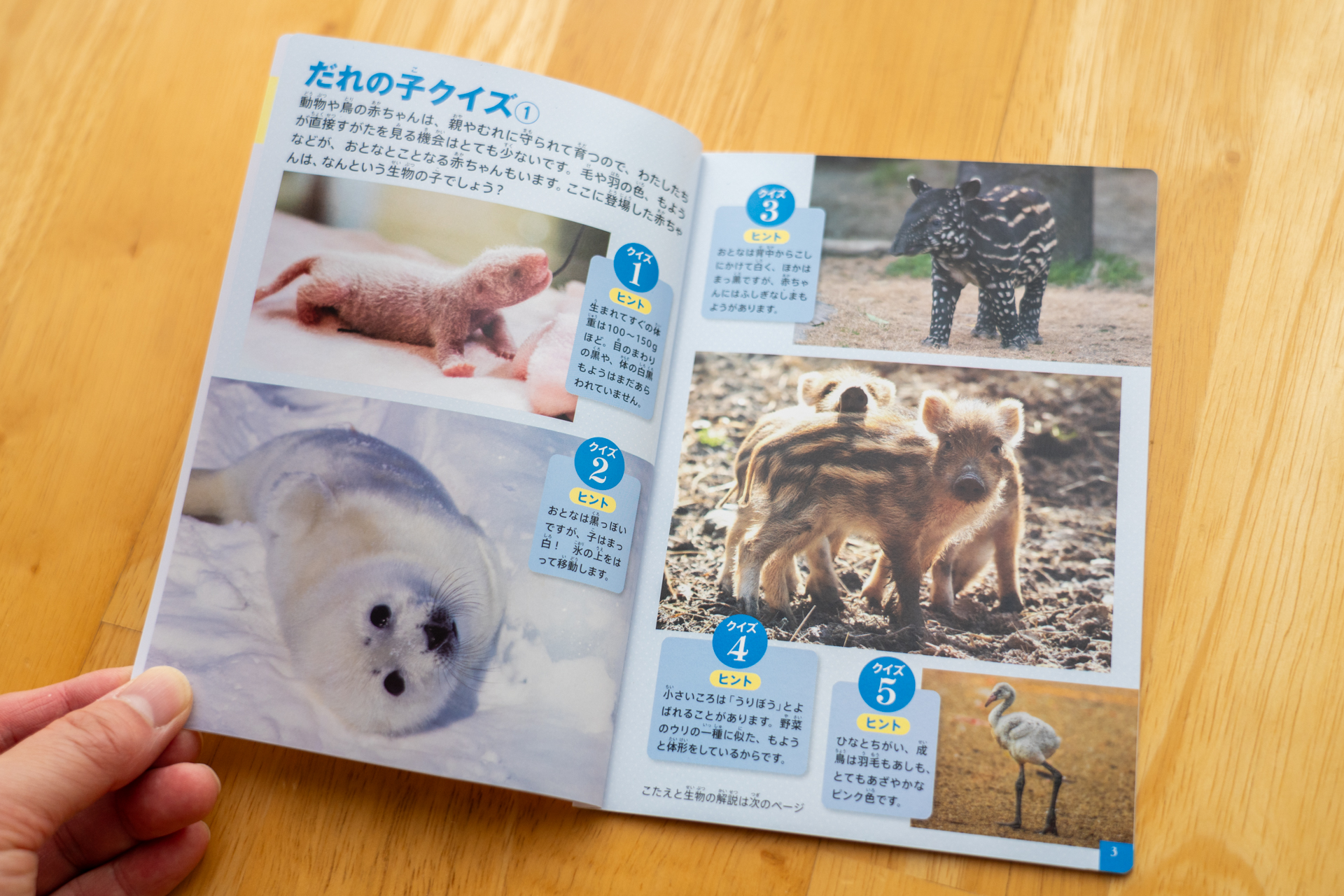 だれの子クイズ。いくつ正解できるかな？