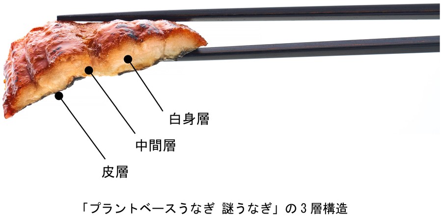 内部は3層構造になっている