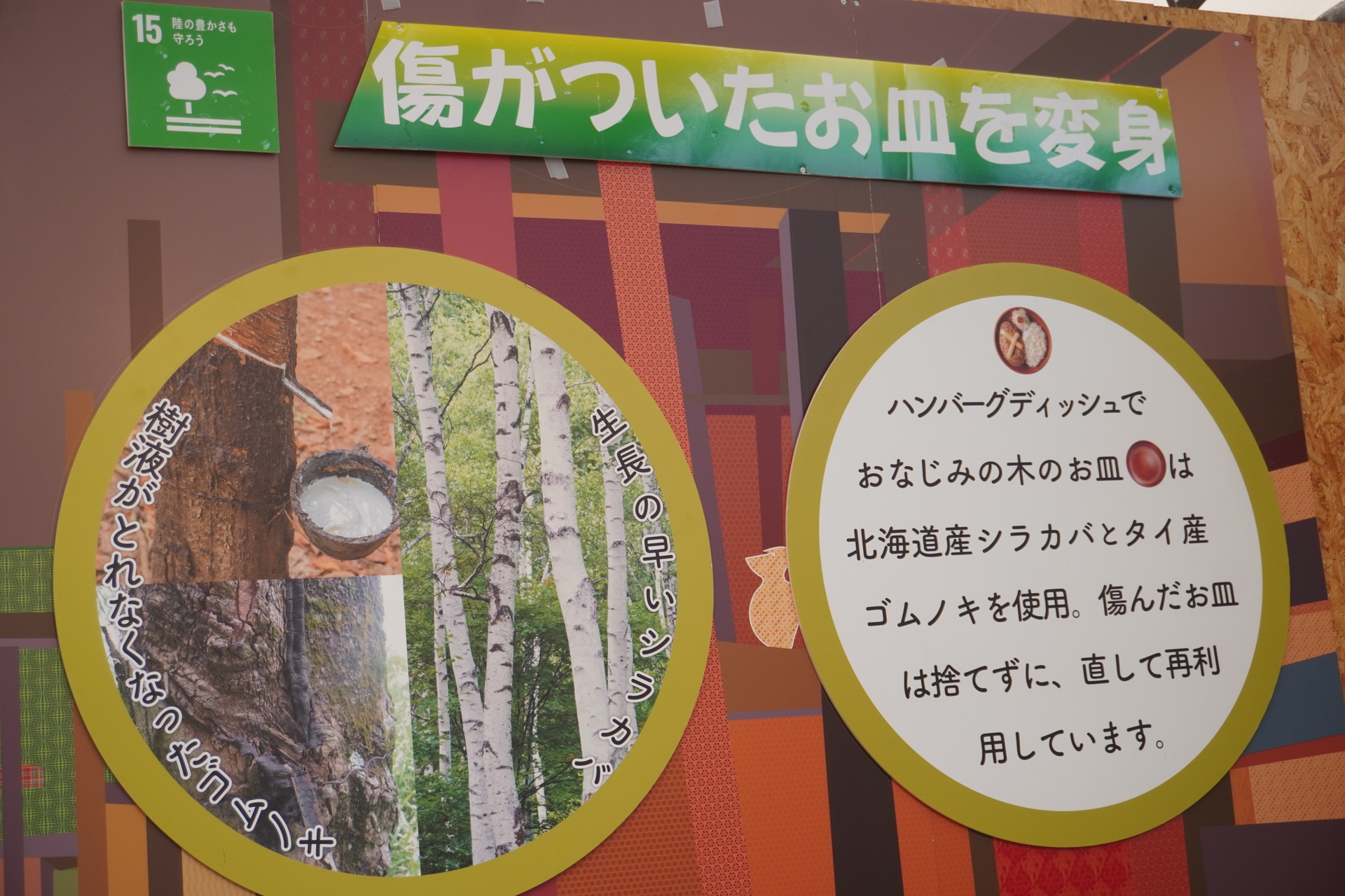 樹液の取れなくなったゴムノキを使って木皿をつくり、傷がついたお皿は再利用
