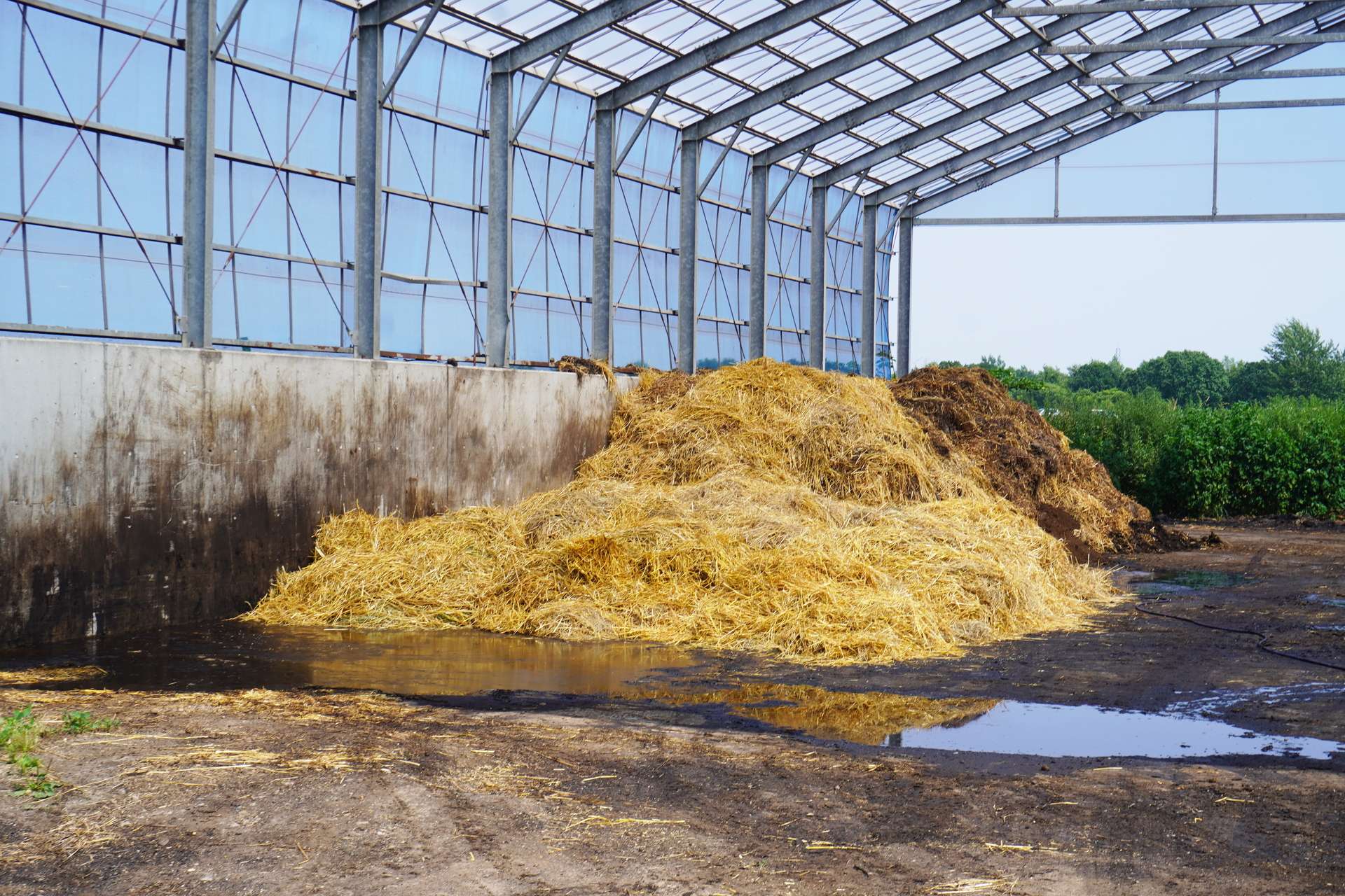 協力農場へと運び、農業残さや家畜の敷きワラ、ふん尿などと混ぜ合わせ、堆肥づくりの発酵促進材として活用