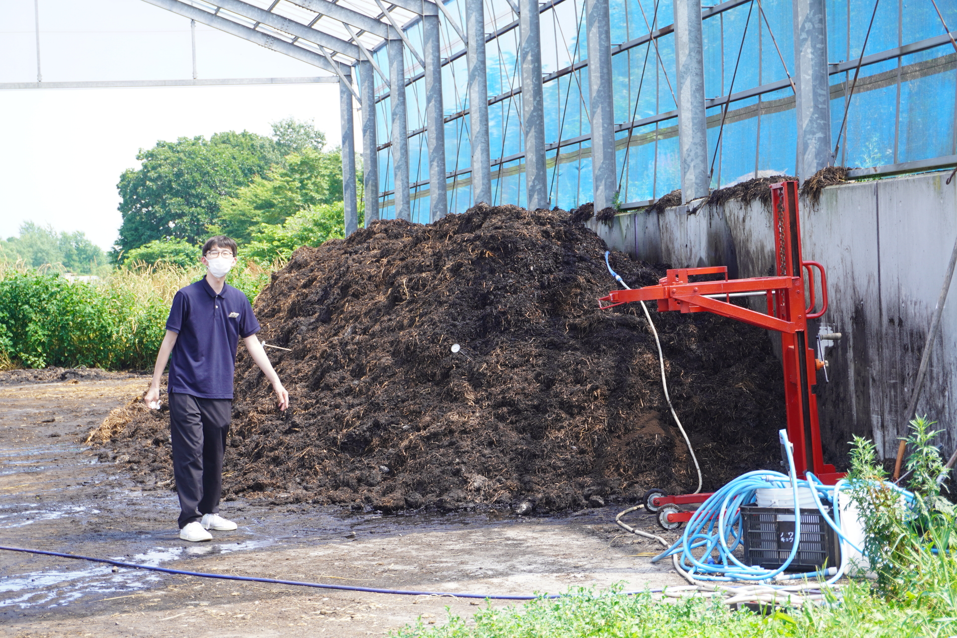 協力農場へと運び、農業残さや家畜の敷きワラ、ふん尿などと混ぜ合わせ、堆肥づくりの発酵促進材として活用