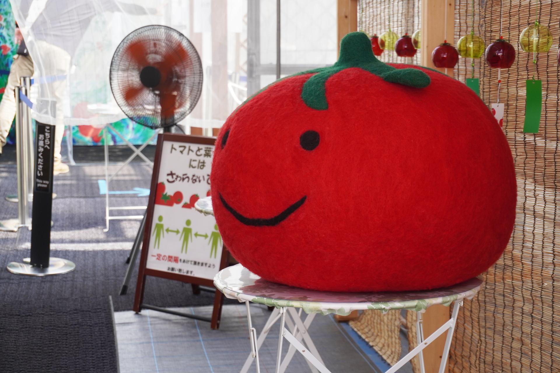 2013年10月にギネス世界記録認定