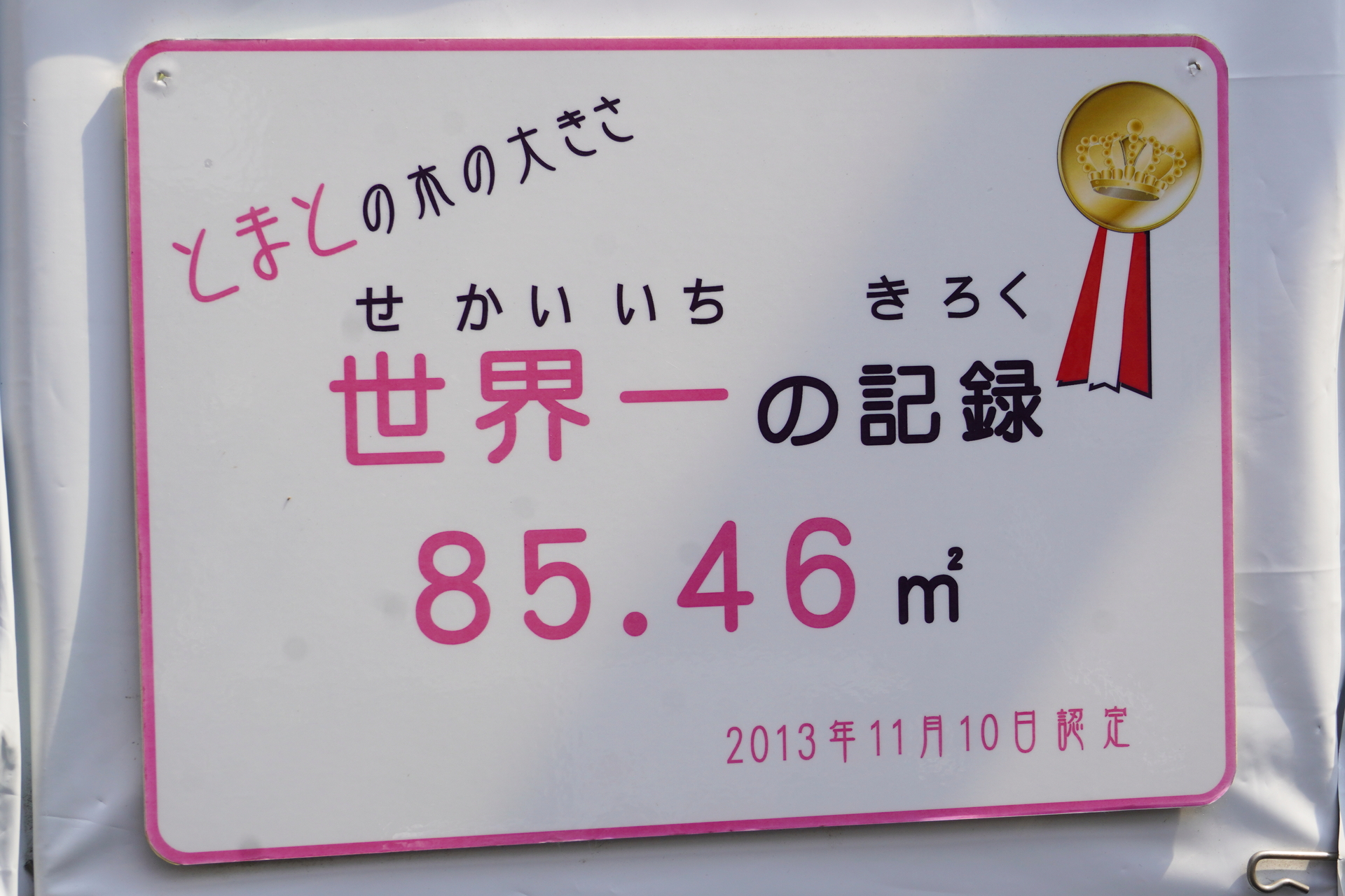 2013年10月にギネス世界記録認定