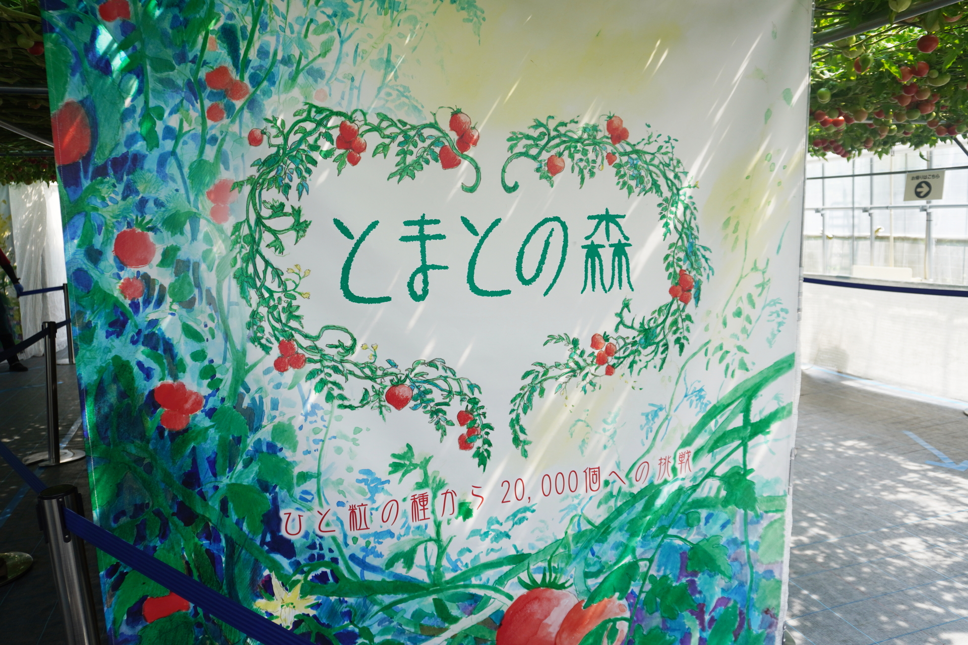 2013年10月にギネス世界記録認定