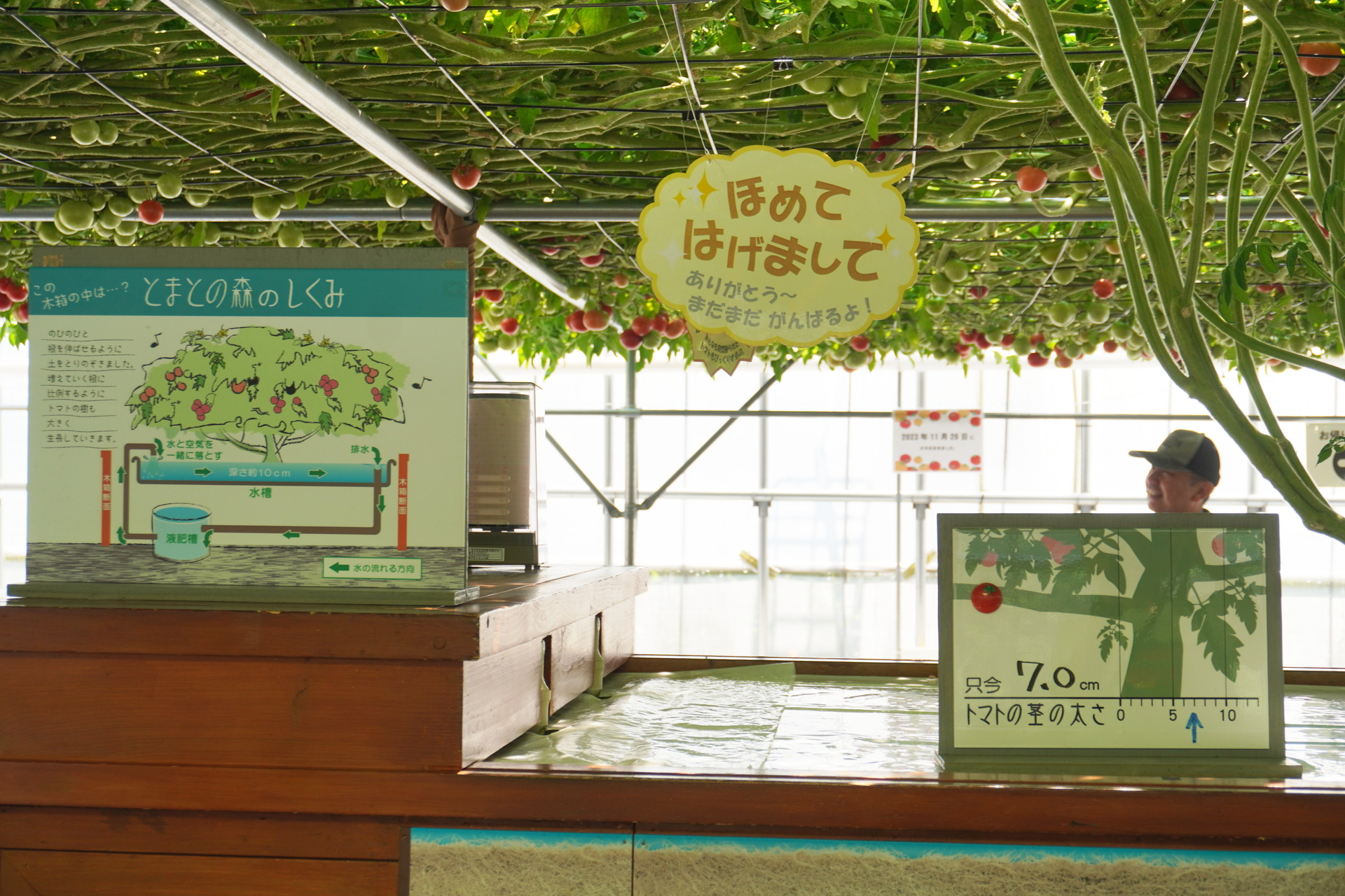 「きれいだね」「かわいいね」とほめてはげますと元気に育つそう