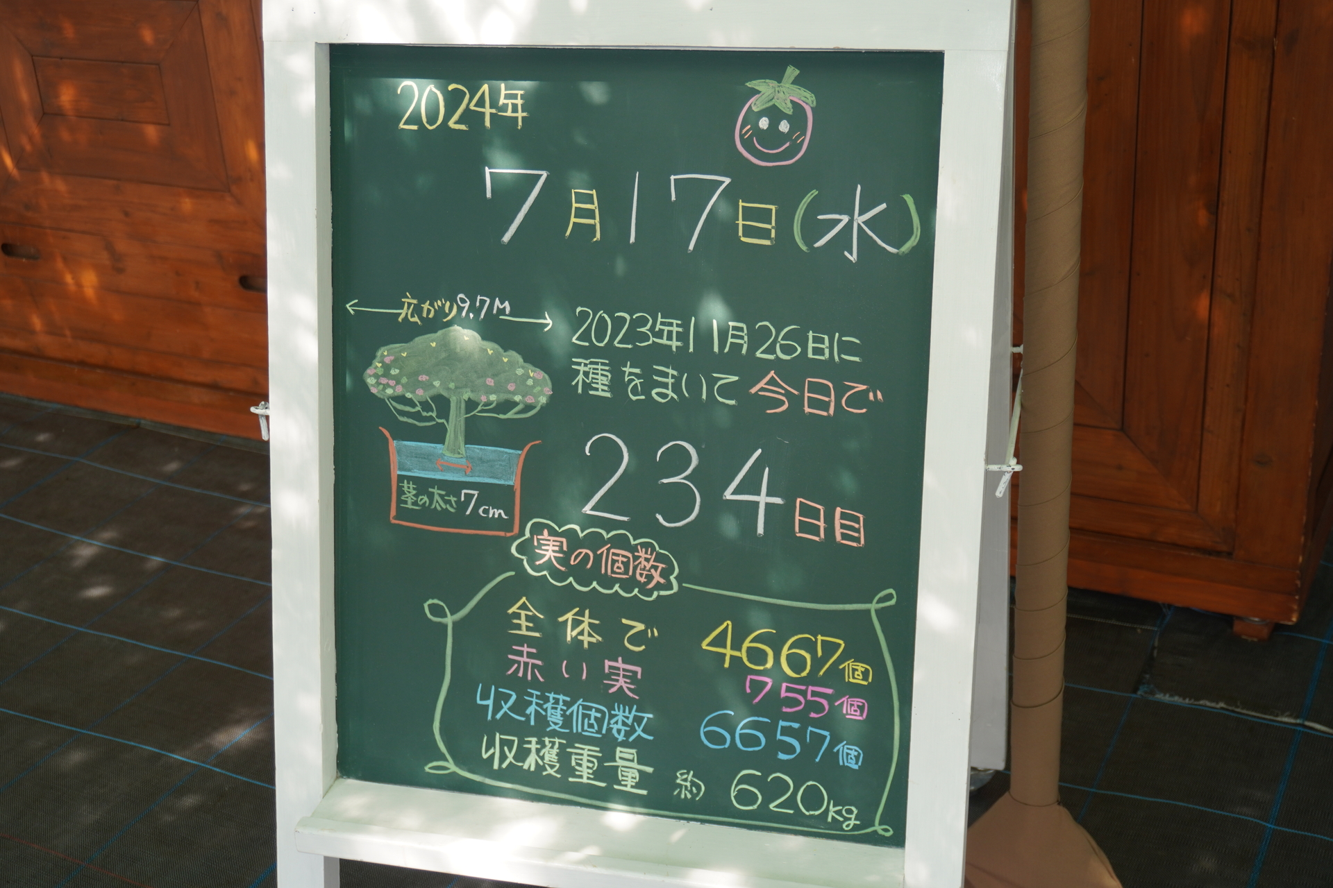 取材時の7月17日時点