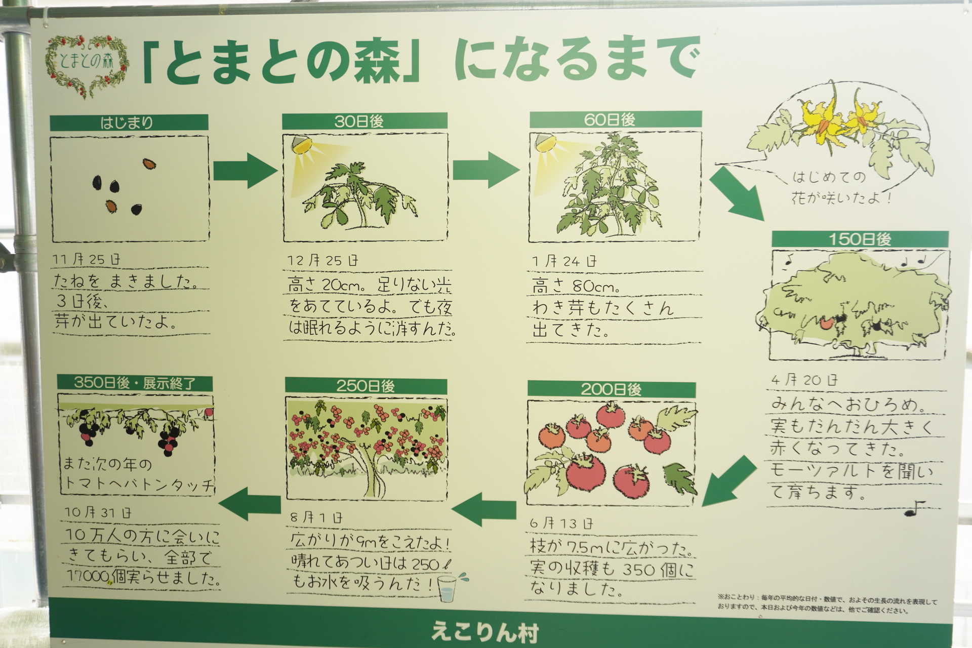 とまとの森ができるまで