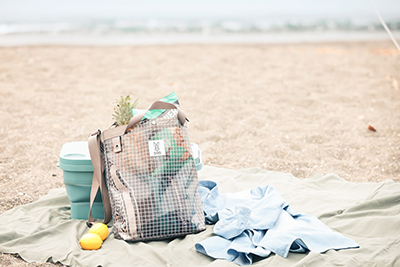 「DOD 2WAYクリアバッグBOOK」（3289円）