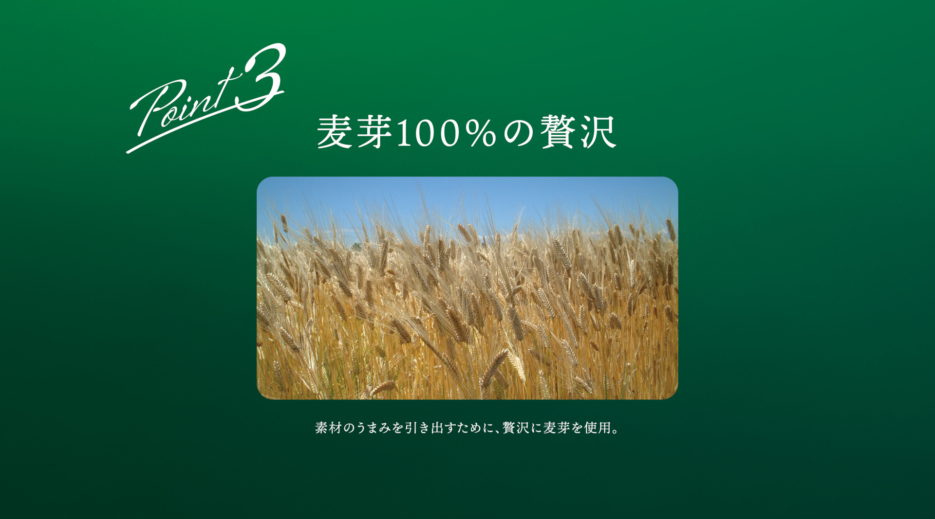 素材・製法・価格へのこだわり