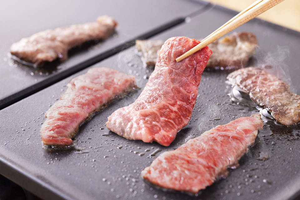 ドウシシャ、火力をそれぞれ調整可能なデュアルプレート構造「evercook