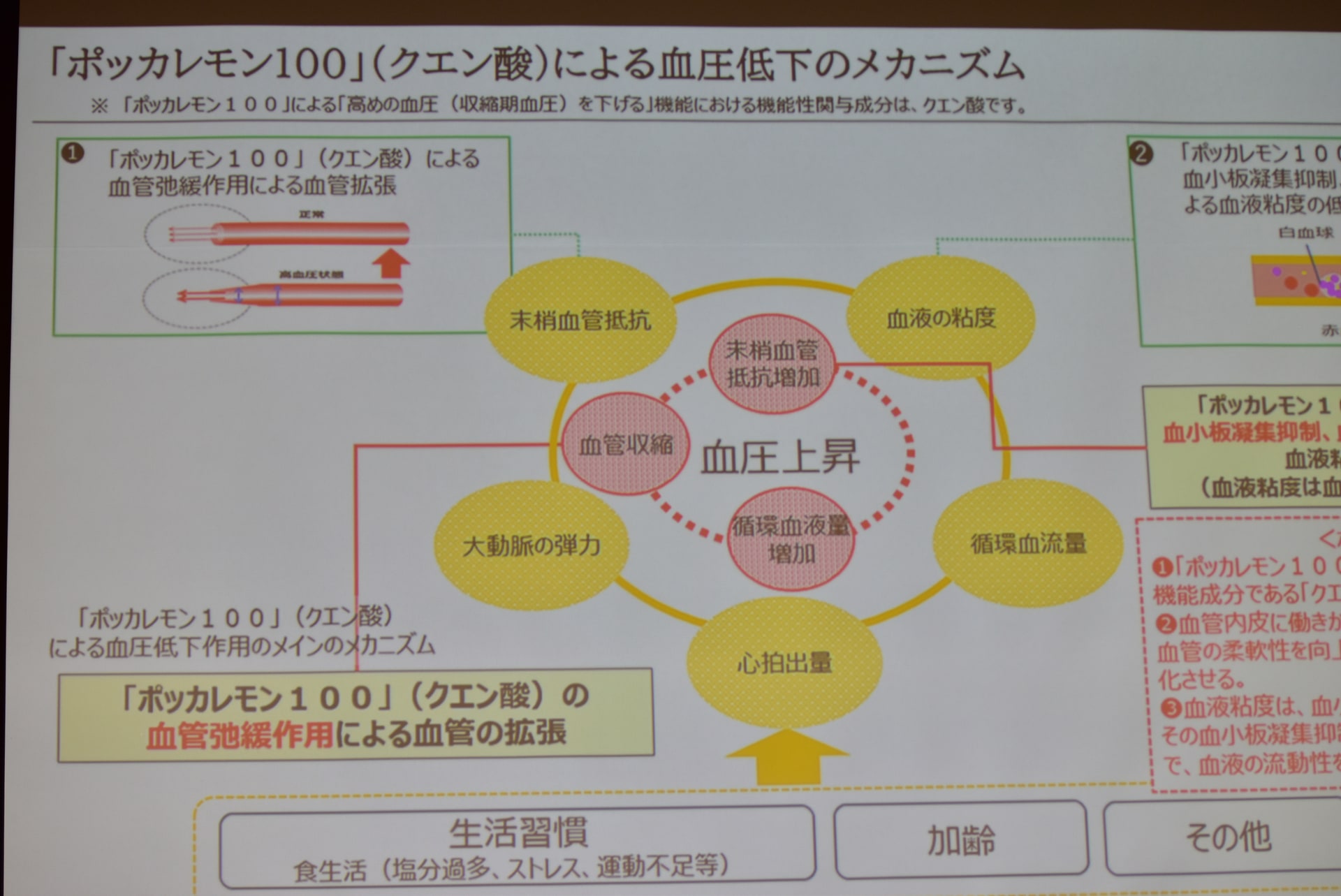 血圧低下のメカニズム