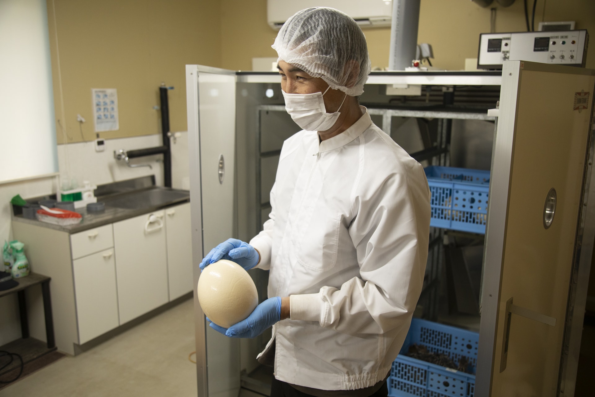 茨城県石岡市にあるSPEEDIAの自社牧場