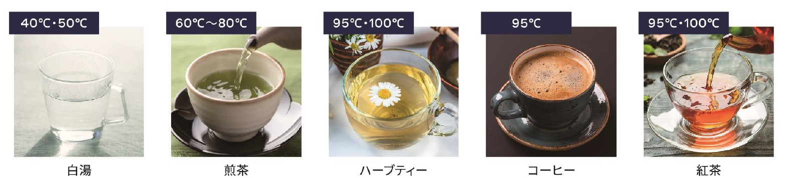 煎茶から紅茶まで対応できる