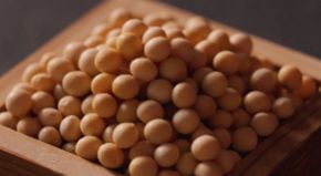 強い粘りと香り、食感が特長で納豆に最も適した希少な茨城県産「地塚大豆」を使用。国産米こうじをブレンドした特製醤油ダレでワンランク上の美味しさを実現した