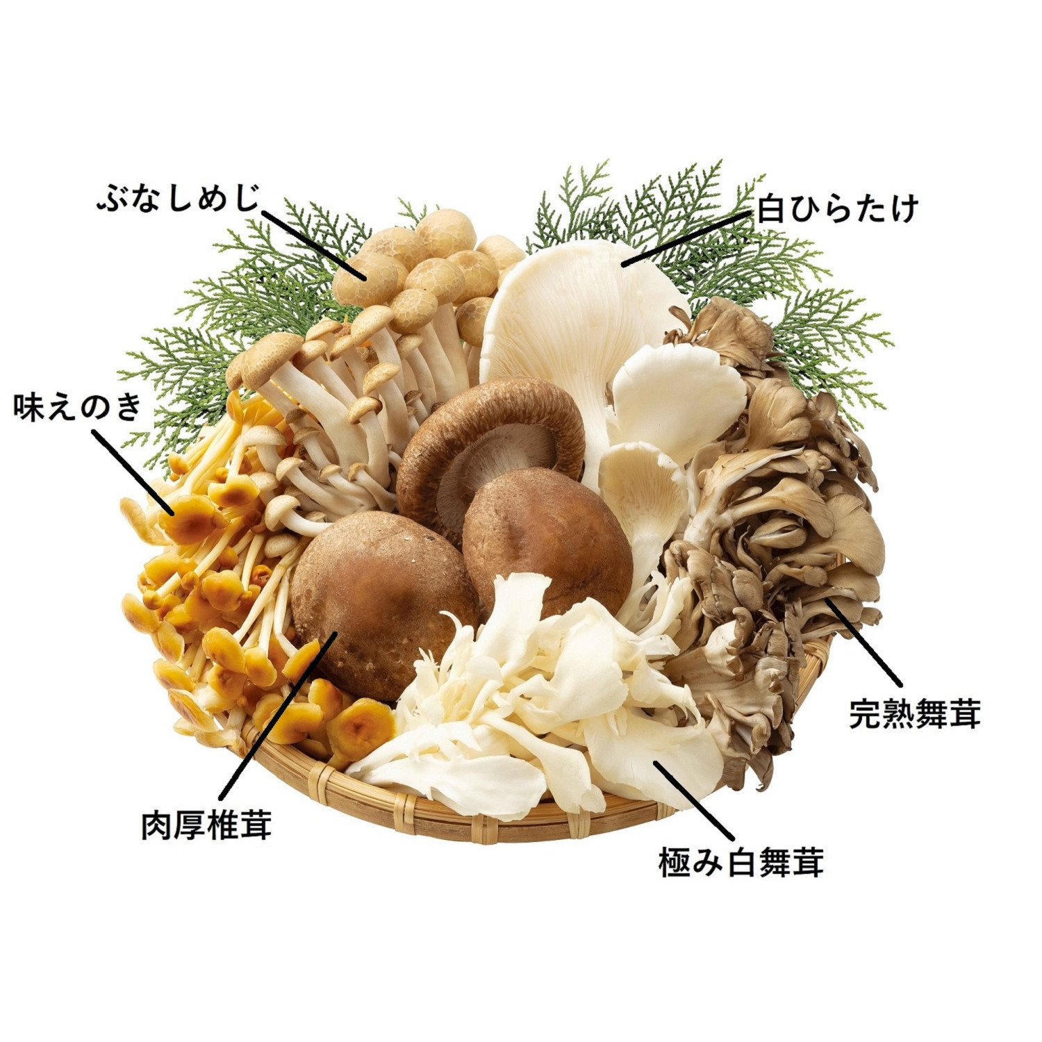6種の旬のきのこ