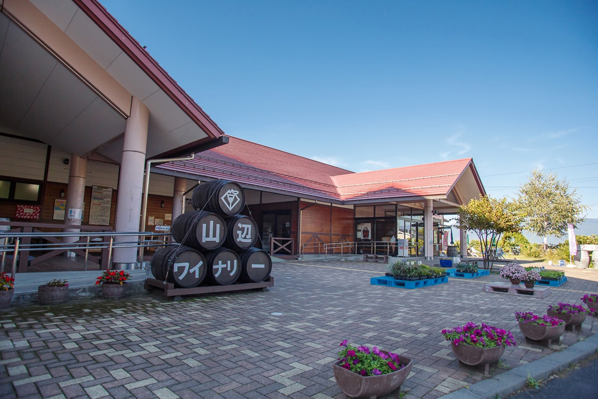 山辺ワイナリーでワインの醸造について学ぶ