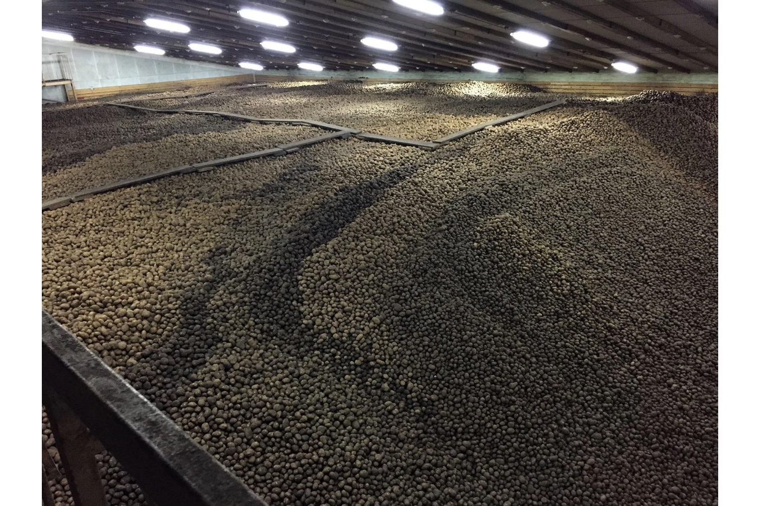 じゃがいもの貯蔵庫