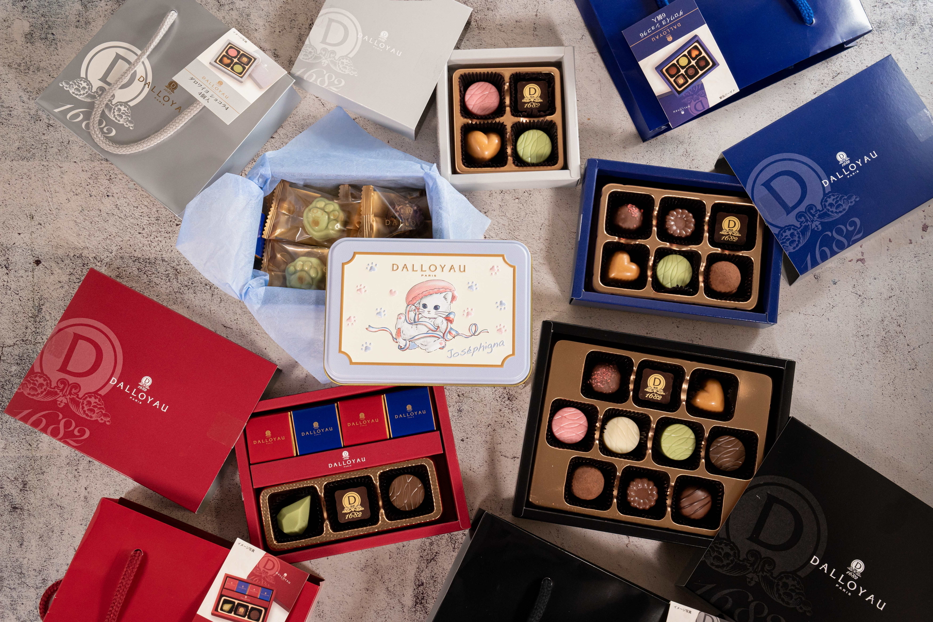 ダロワイヨ監修ギフト