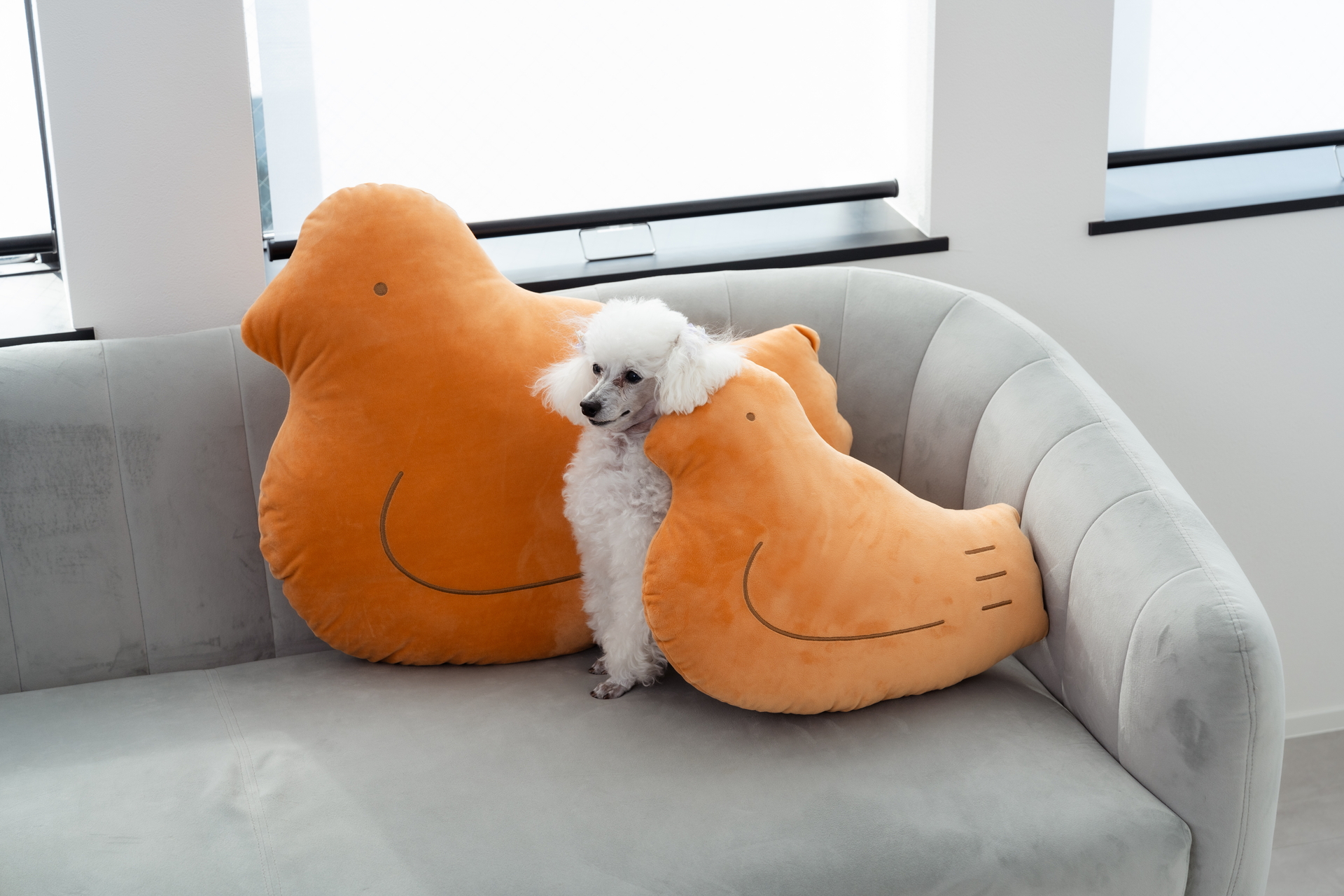 ペットに