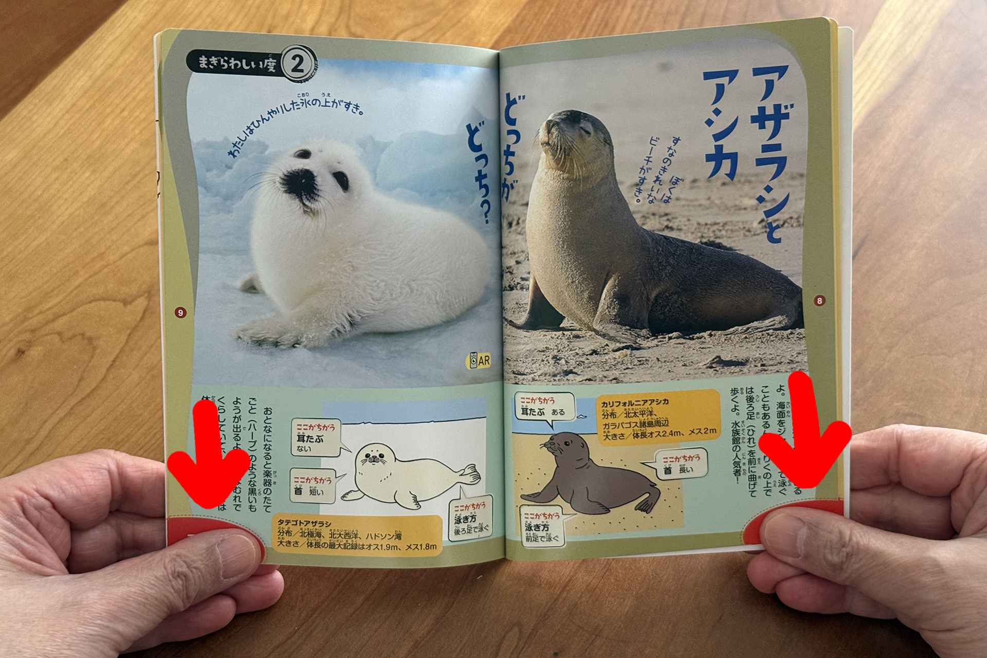 指で動物の名前を隠して、あてっこして遊べるぞ