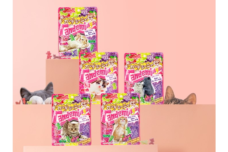 猫型の窓がついた5種（ニャーゴ）のパッケージ