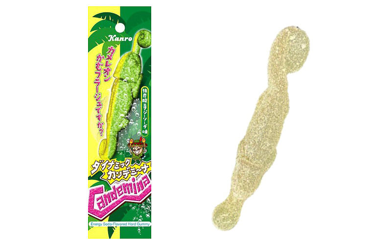 「ダイナミックカンデミーナ カメレオンかむフラージュですか？」（140円）