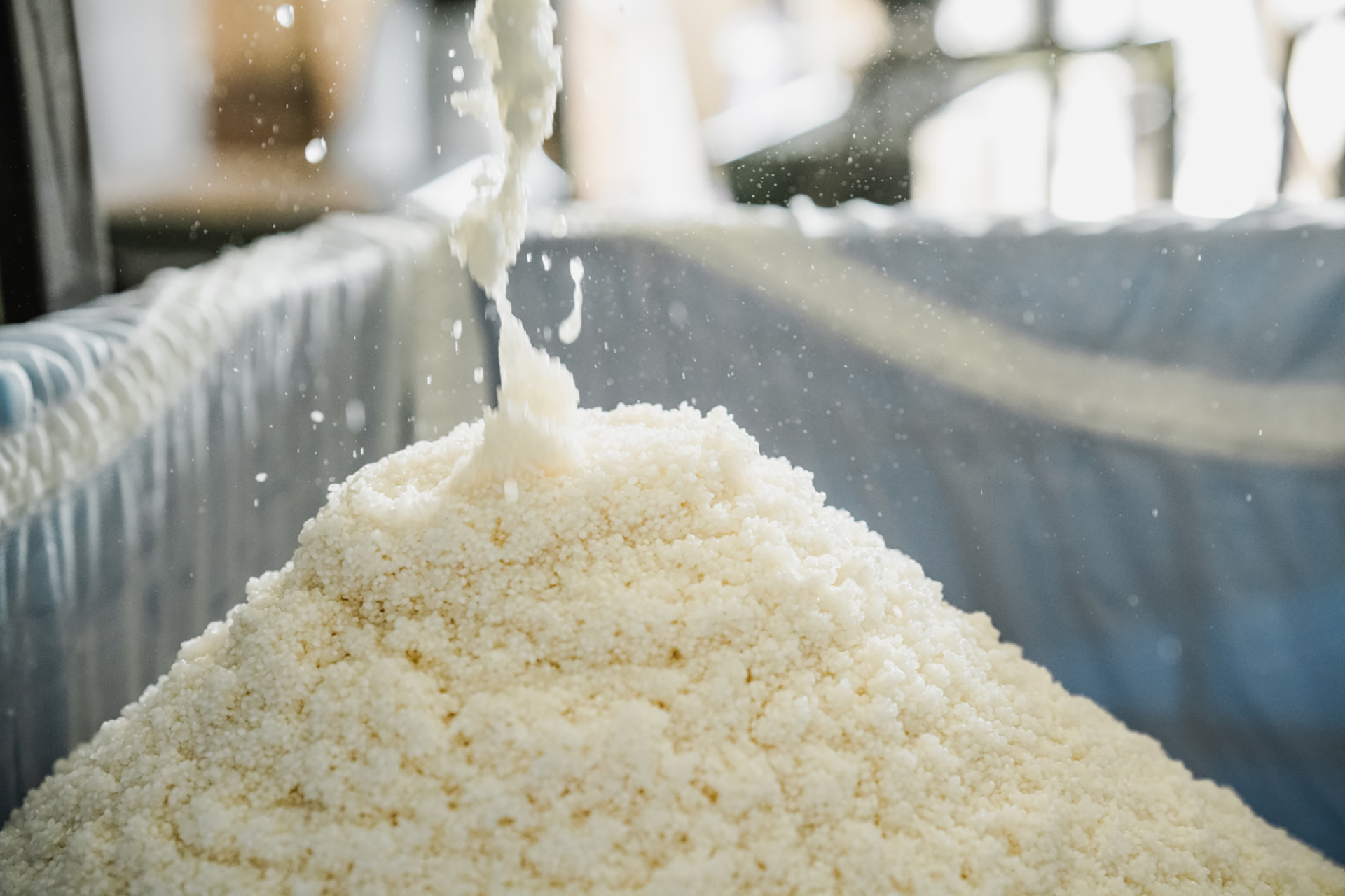 星野リゾート 界 玉造「蔵元が伝える酒造りの世界と日本酒の美味しい飲み方」